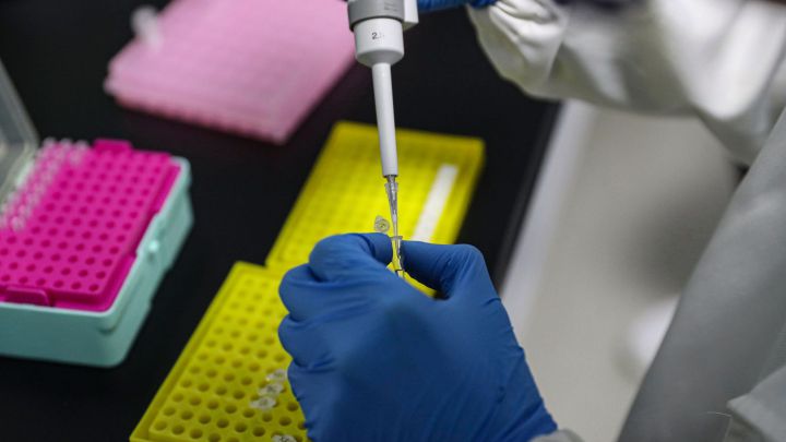Nueva cepa del COVID19 detectada en el Reino Unido es 70% más contagiosa nueva-cepa-del-covid19-detectada-en-el-reino-unido-es-70-mas-contagiosa